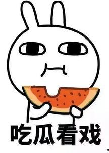 娱乐吃瓜酱加班